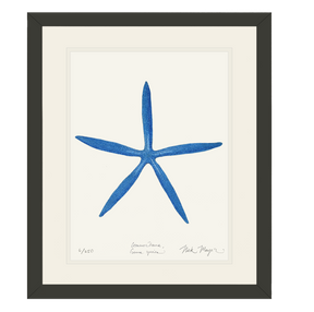 Blue Linckia II Starfish Print