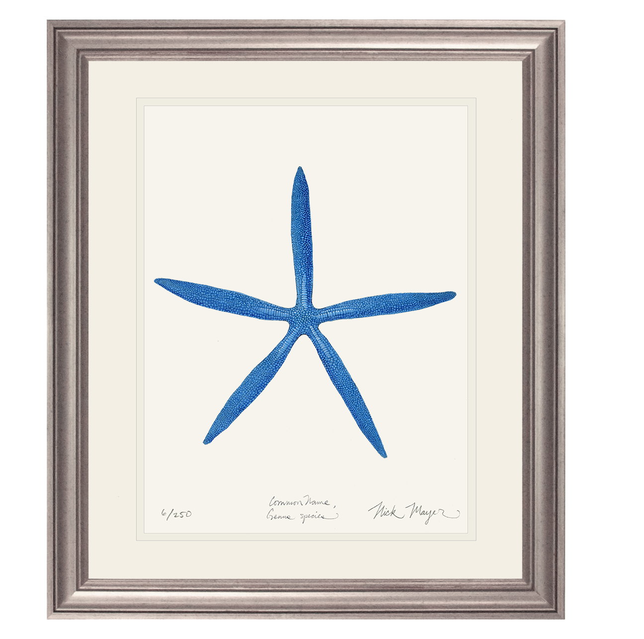 Blue Linckia II Starfish Print