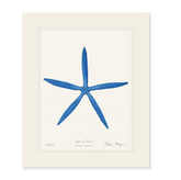 Blue Linckia II Starfish Print