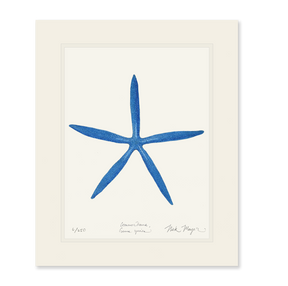 Blue Linckia II Starfish Print