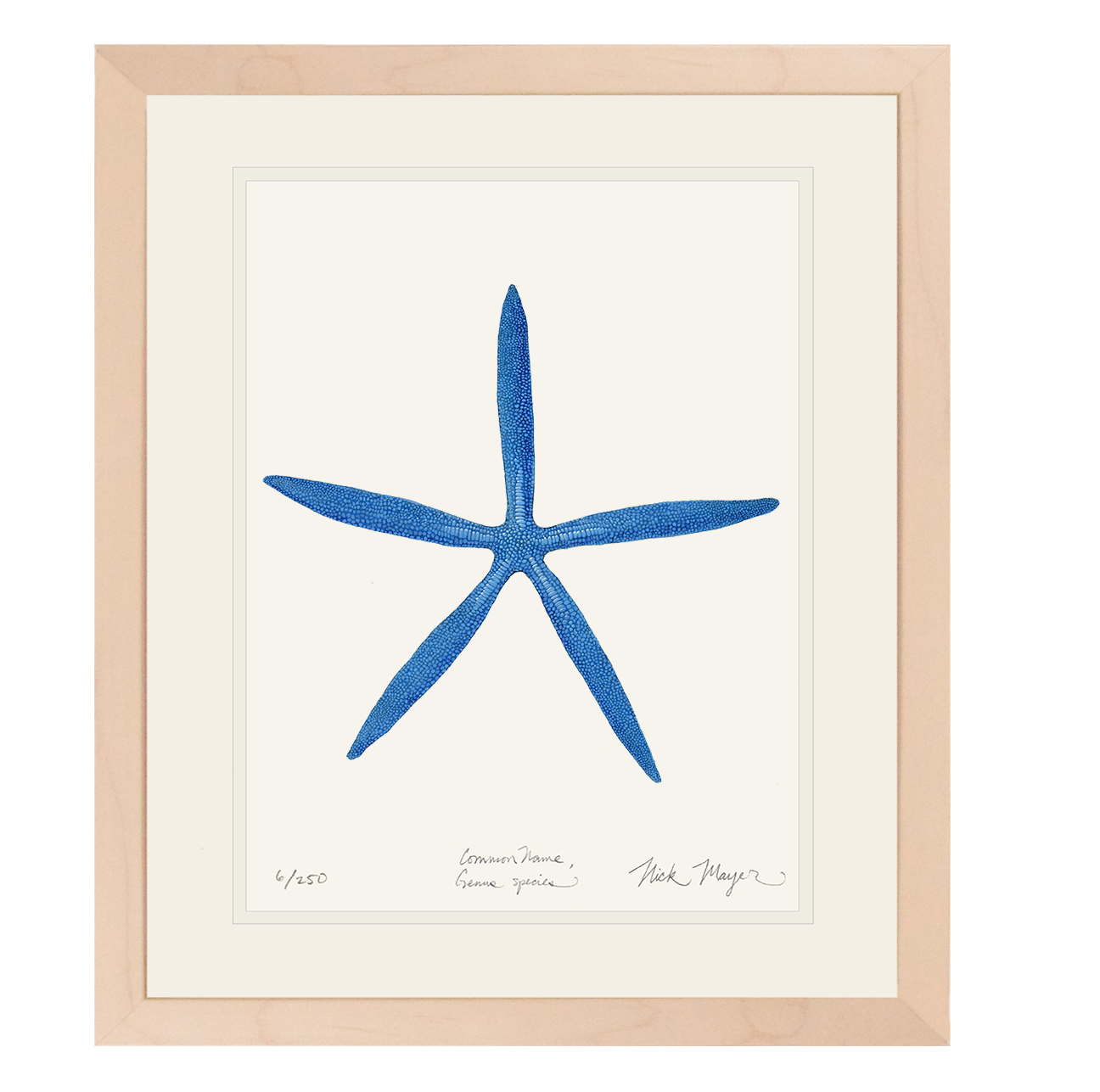 Blue Linckia II Starfish Print