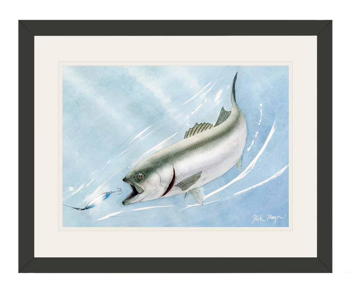 Bluefish and Kastmaster Print