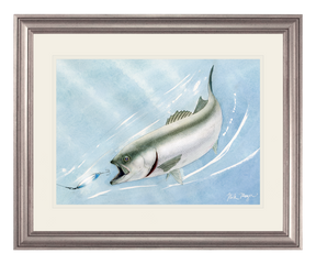 Bluefish and Kastmaster Print