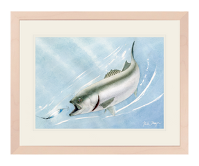 Bluefish and Kastmaster Original Watercolor Painting