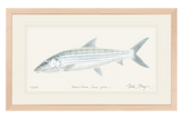 Bonefish Original Watercolor Painting