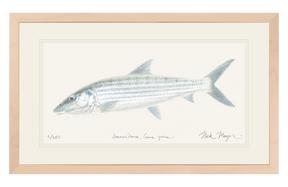 Bonefish Original Watercolor Painting