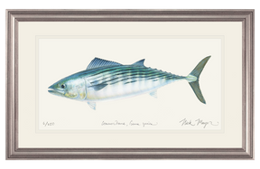 Bonito Print