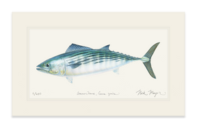 Bonito Print