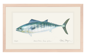 Bonito Print