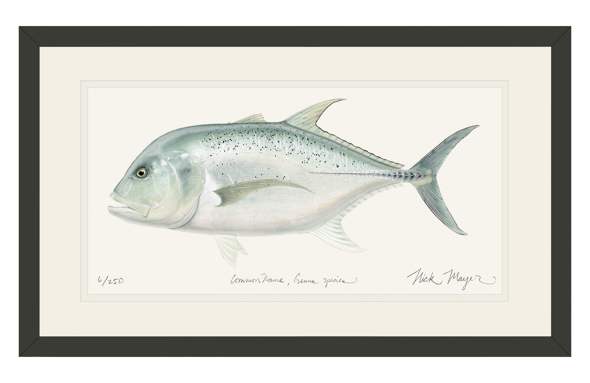 Giant Trevally Fish Art Print