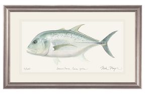 giant trevally art print silver frame