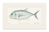 unframed Boss GT fish art print