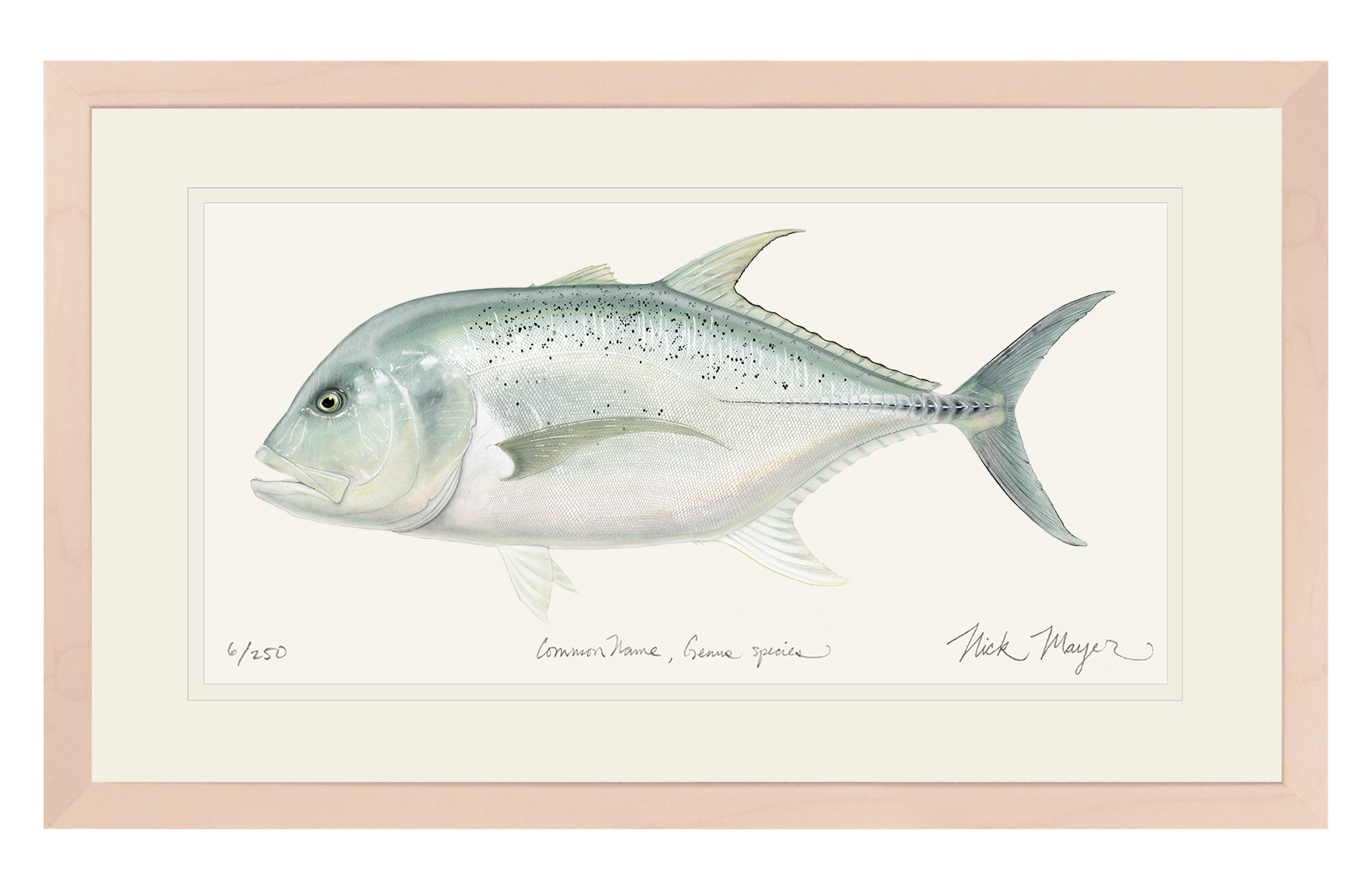 Seychelles GT art print whitewashed frame
