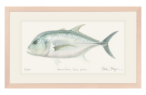 Seychelles GT art print whitewashed frame