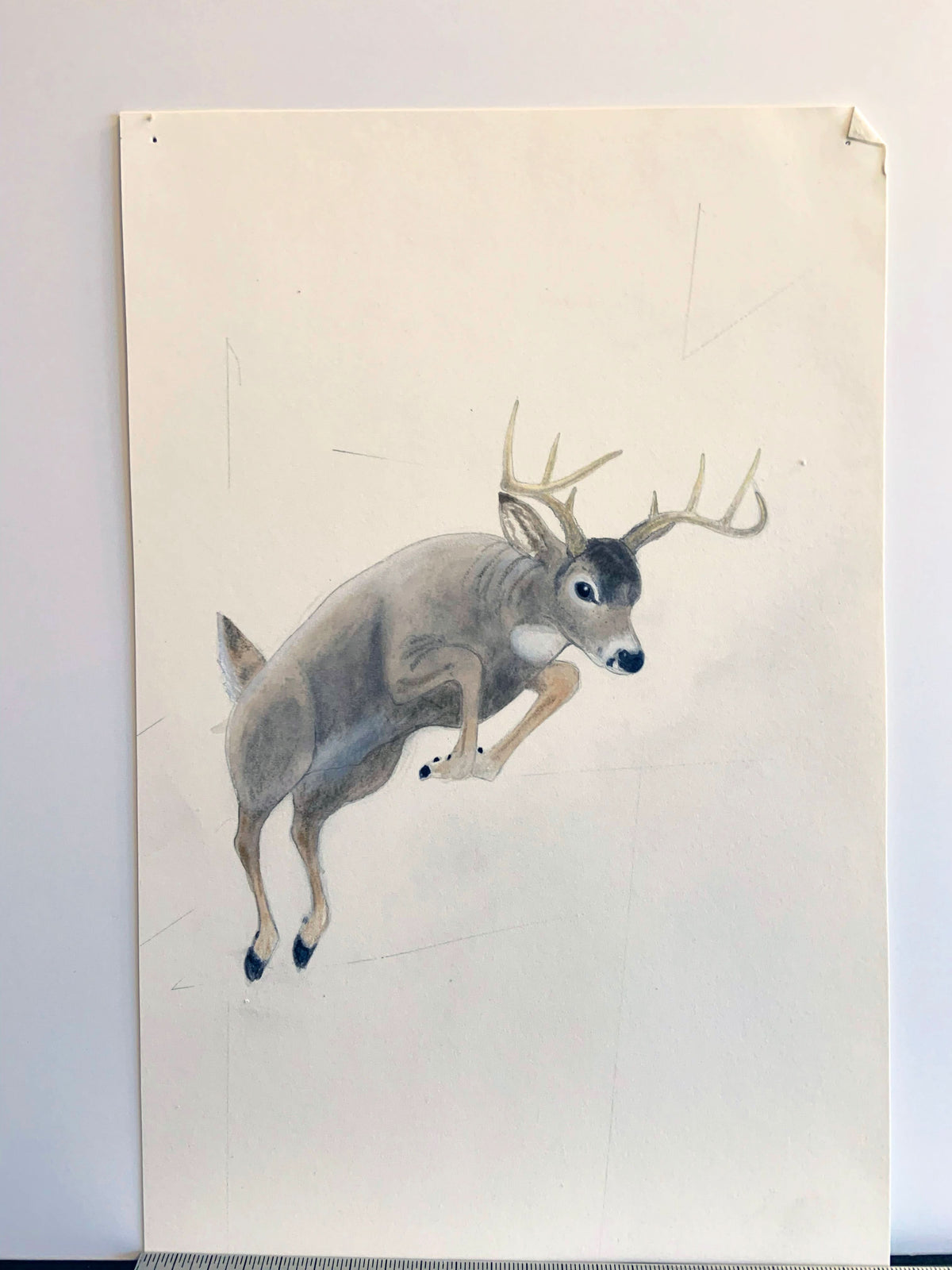 Whitetail Buck Study Unframed Original Painting