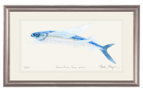 California Flying Fish Print