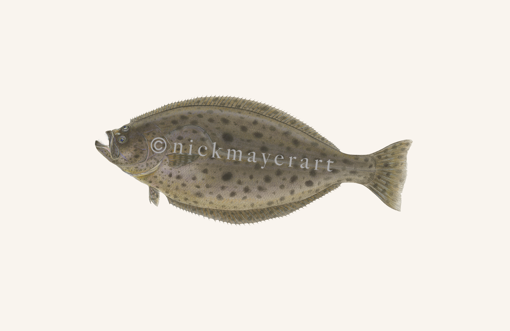 watermark