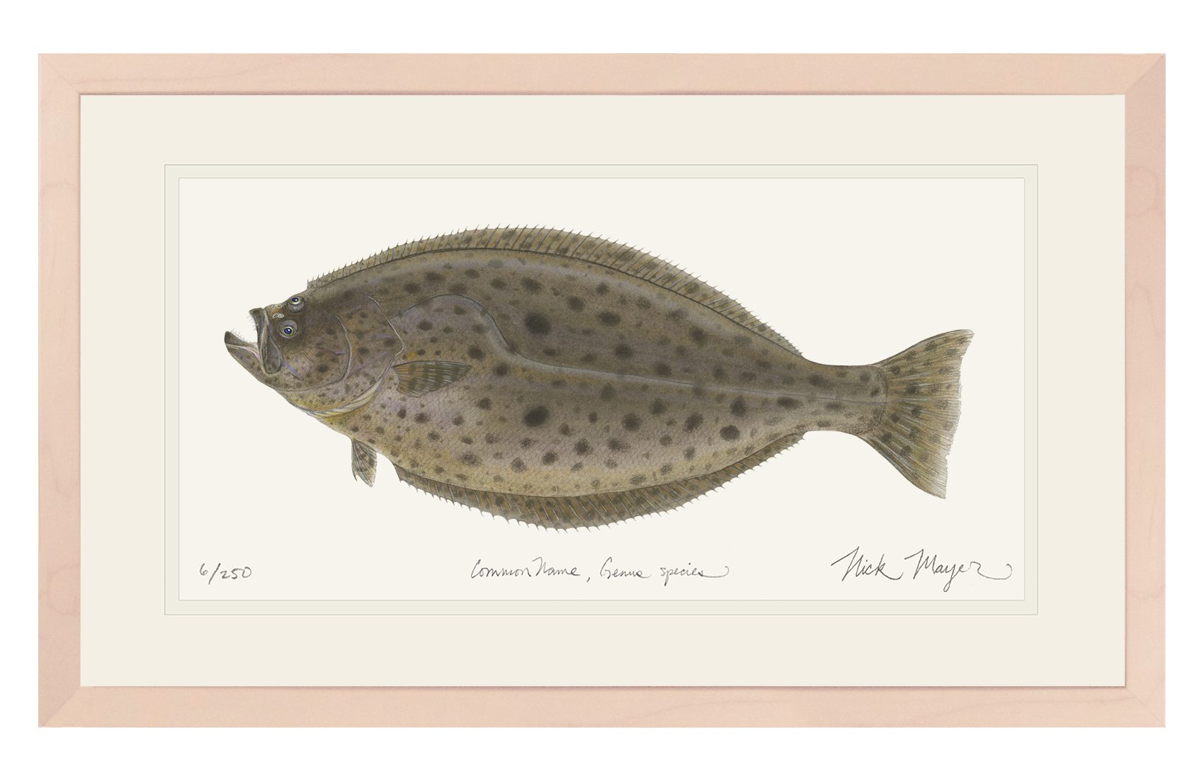 California Halibut Limited Edition Print
