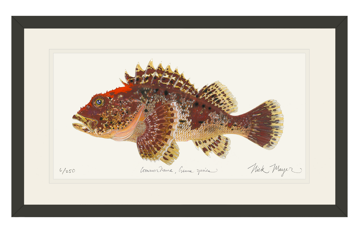 マッカラム 6'3 McCALLUM Gypsy Fish
Gypsy Fish A Jeff McCallum Gypsy Fish that went - Colab Surf Studios