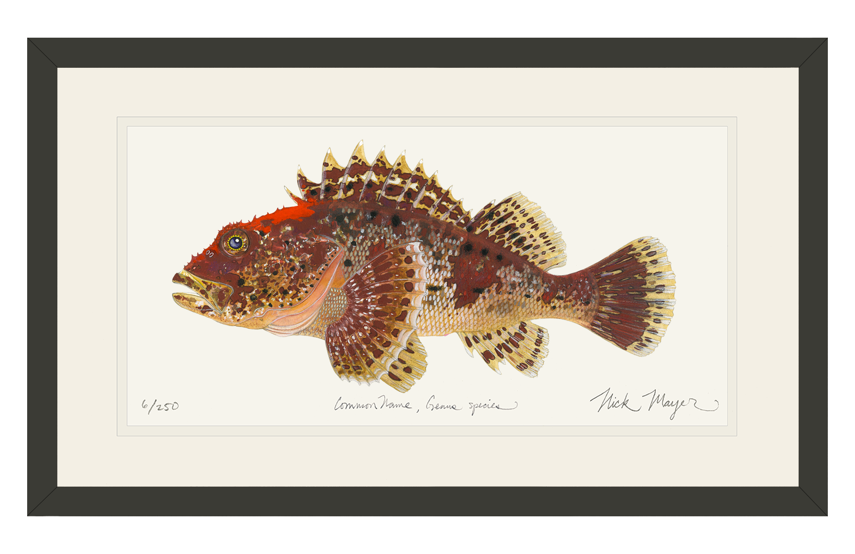 Scorpionfish Limited Edition Print
