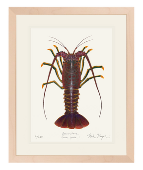 Spiny Lobster I Print