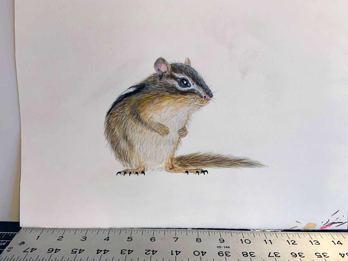 Chipmunk Study Unframed Original Painting