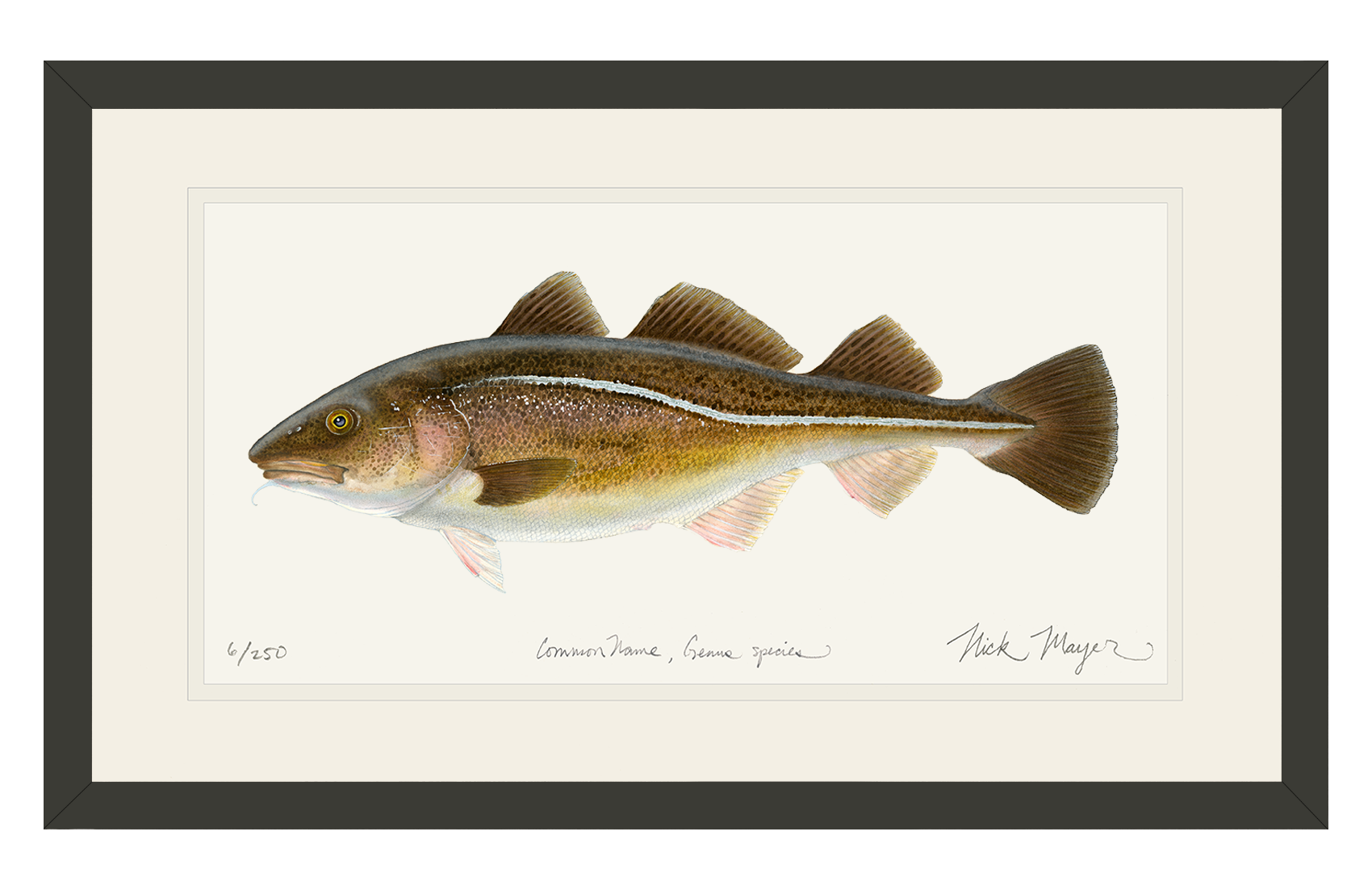Cod Print: A Stunning Depiction of the Sea's Iconic Symbol