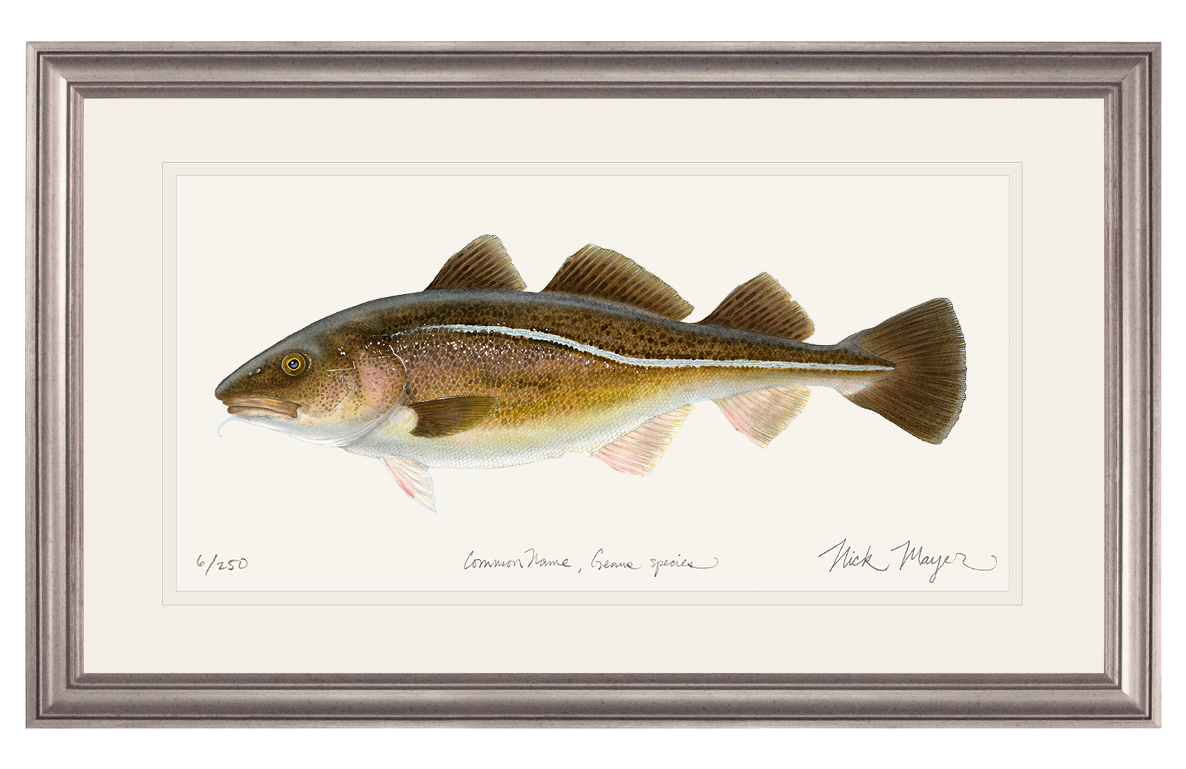 Cod Print: A Stunning Depiction of the Sea's Iconic Symbol
