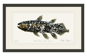 Coelacanth Print