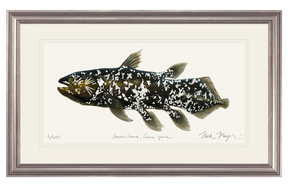 Coelacanth Print