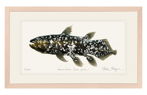 Coelacanth Print