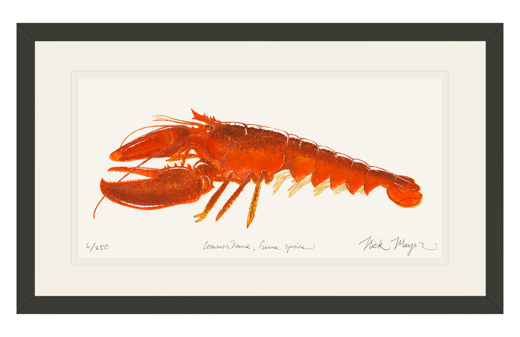 Cooked Lobster II Limited Edition Print