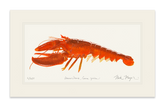 Cooked Lobster II Print