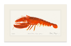 Cooked Lobster II Print