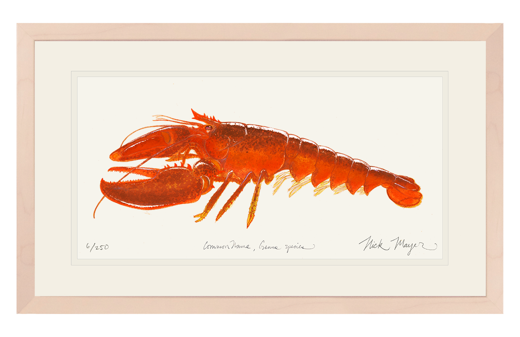 Cooked Lobster II Limited Edition Print