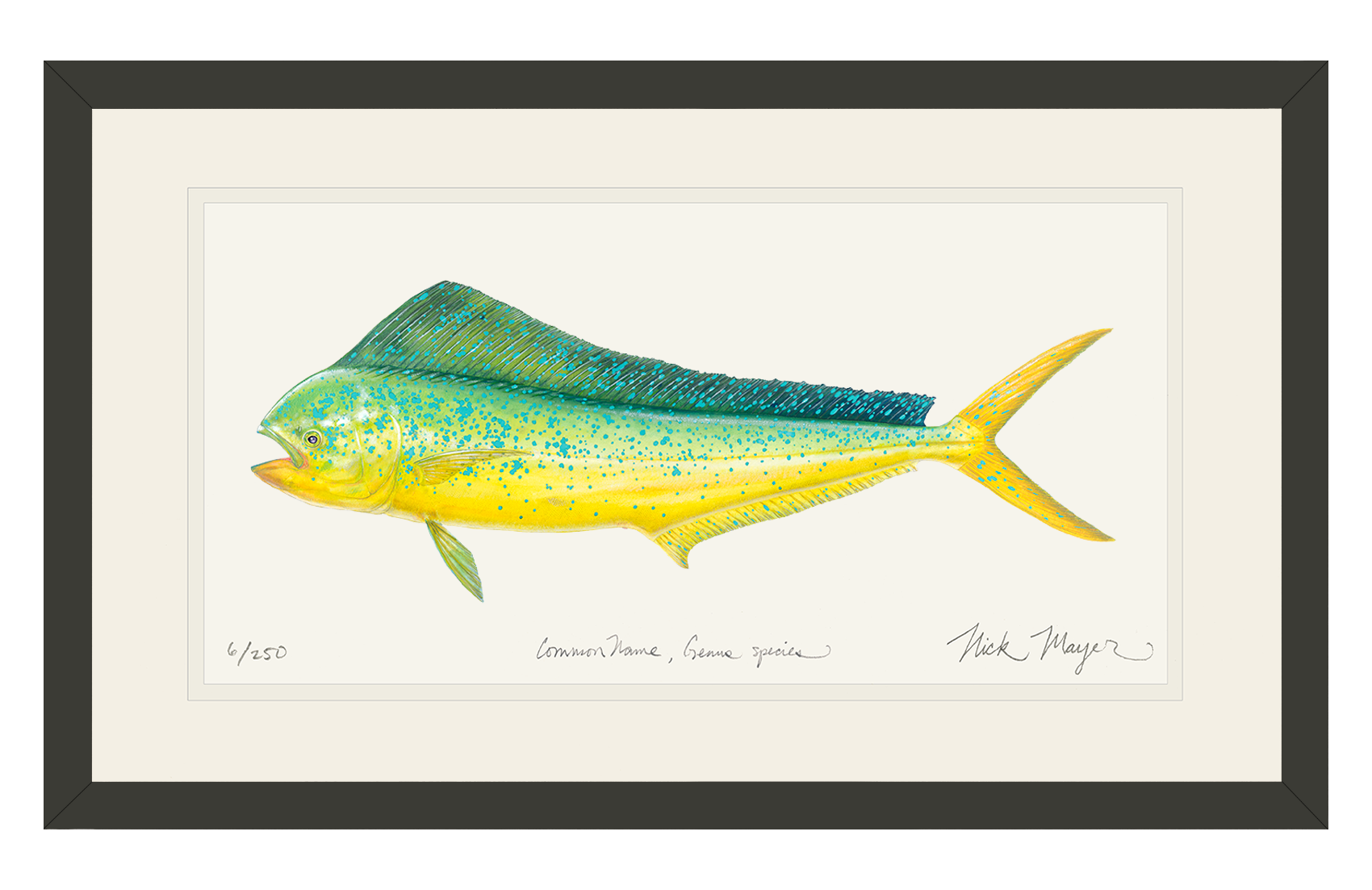Cow Dorado/ Mahi Limited Edition Print