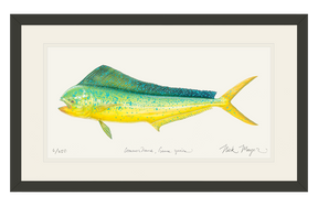 Cow Dorado/ Mahi Print