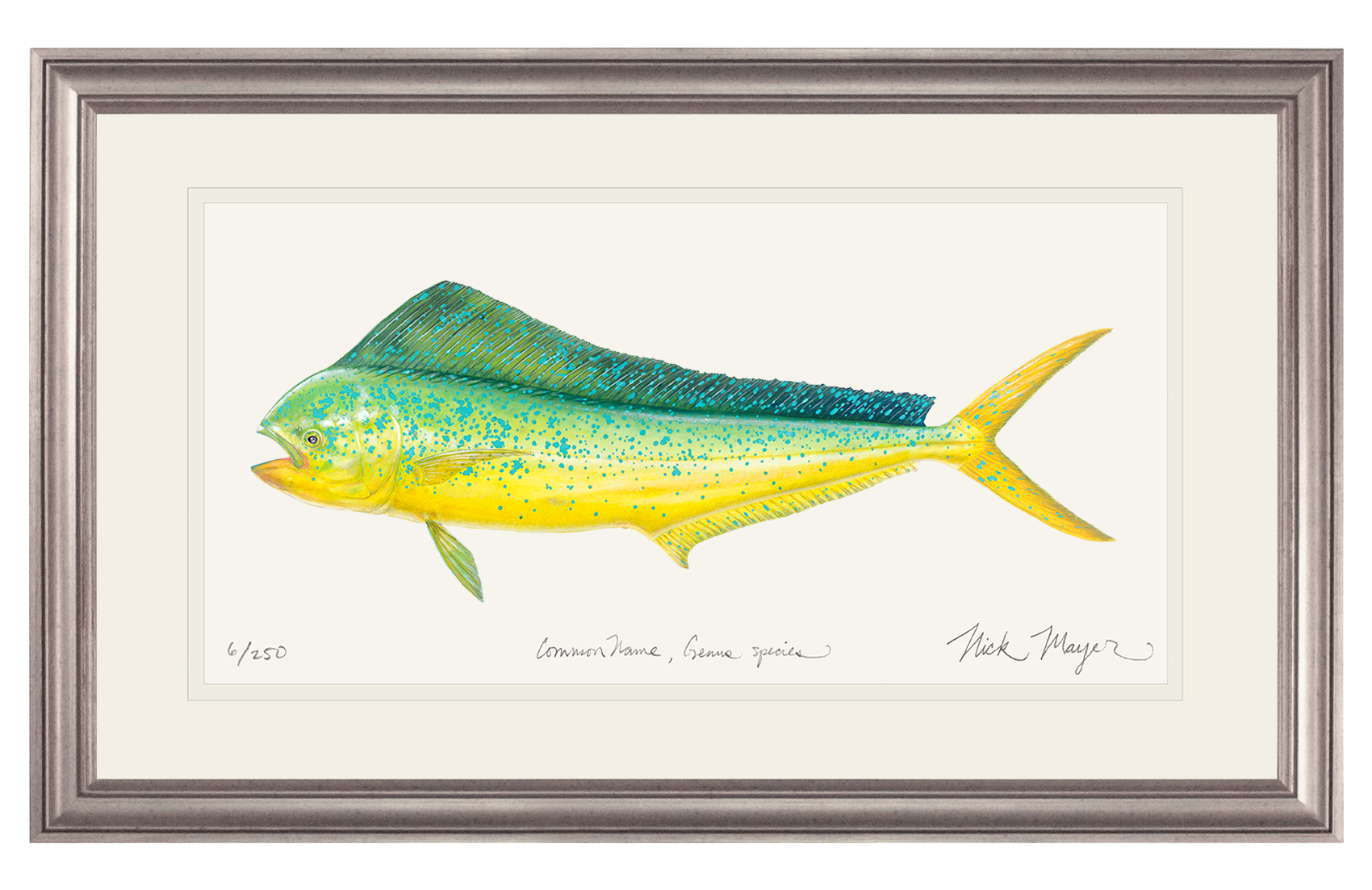Cow Dorado/ Mahi Limited Edition Print