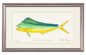 Cow Dorado/ Mahi Print