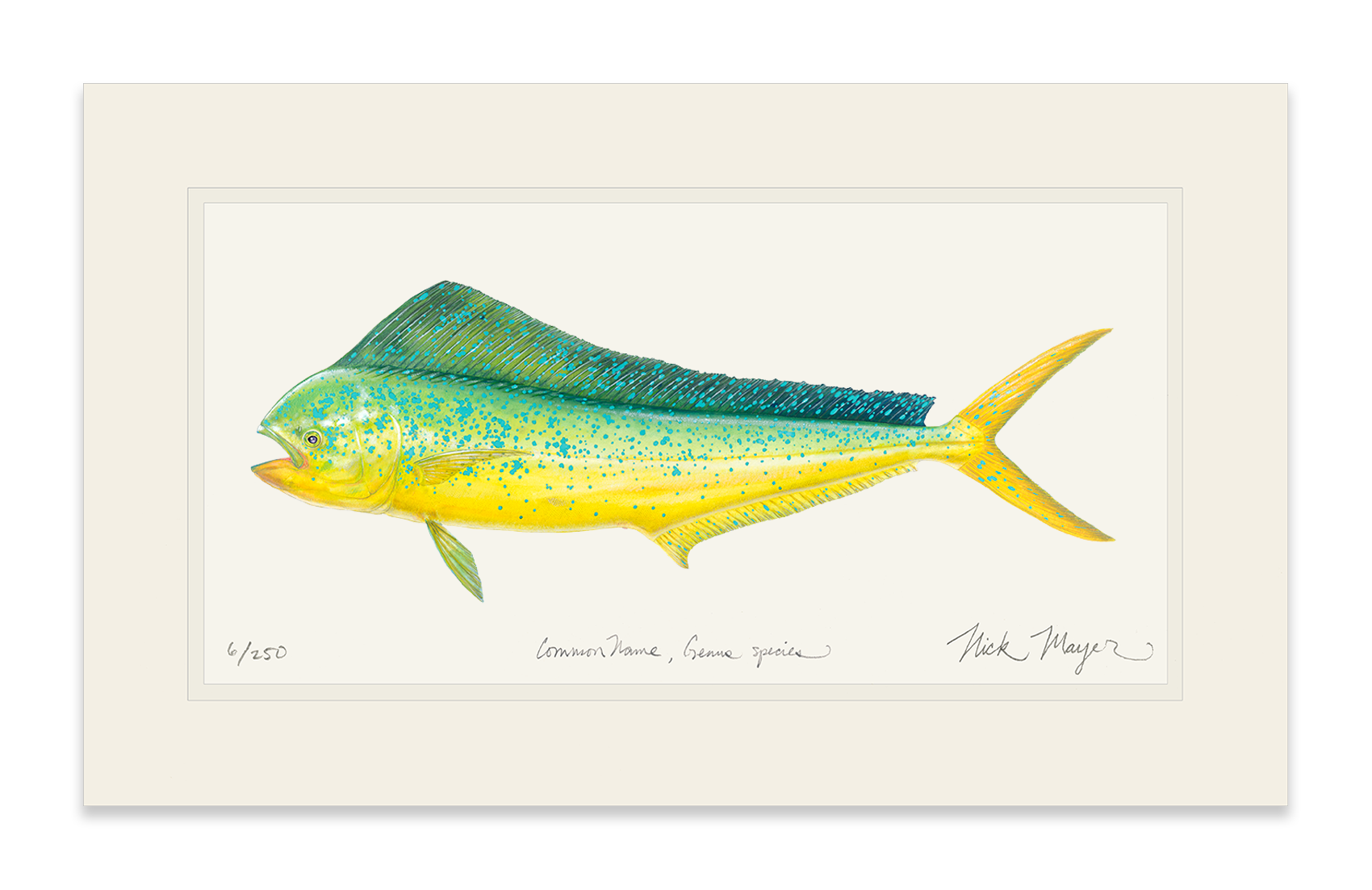 Cow Dorado/ Mahi Limited Edition Print