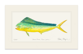 Cow Dorado/ Mahi Print