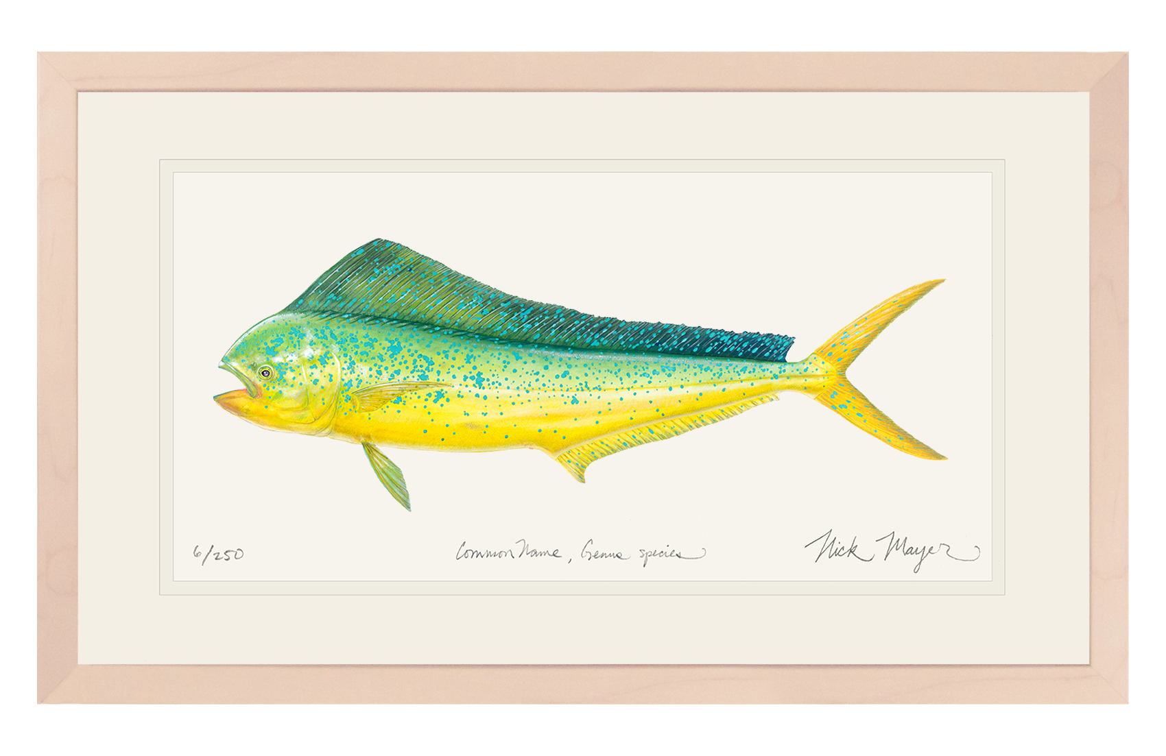 Cow Dorado/ Mahi Limited Edition Print