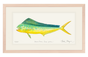 Cow Dorado/ Mahi Print