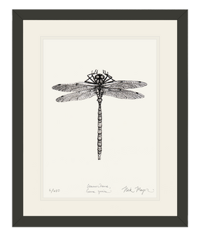 Dragonfly Print