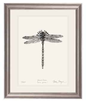 Dragonfly Print
