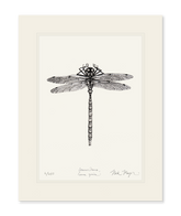 Dragonfly Print