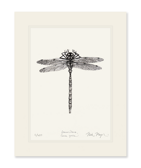 Dragonfly Print