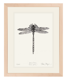 Dragonfly Print