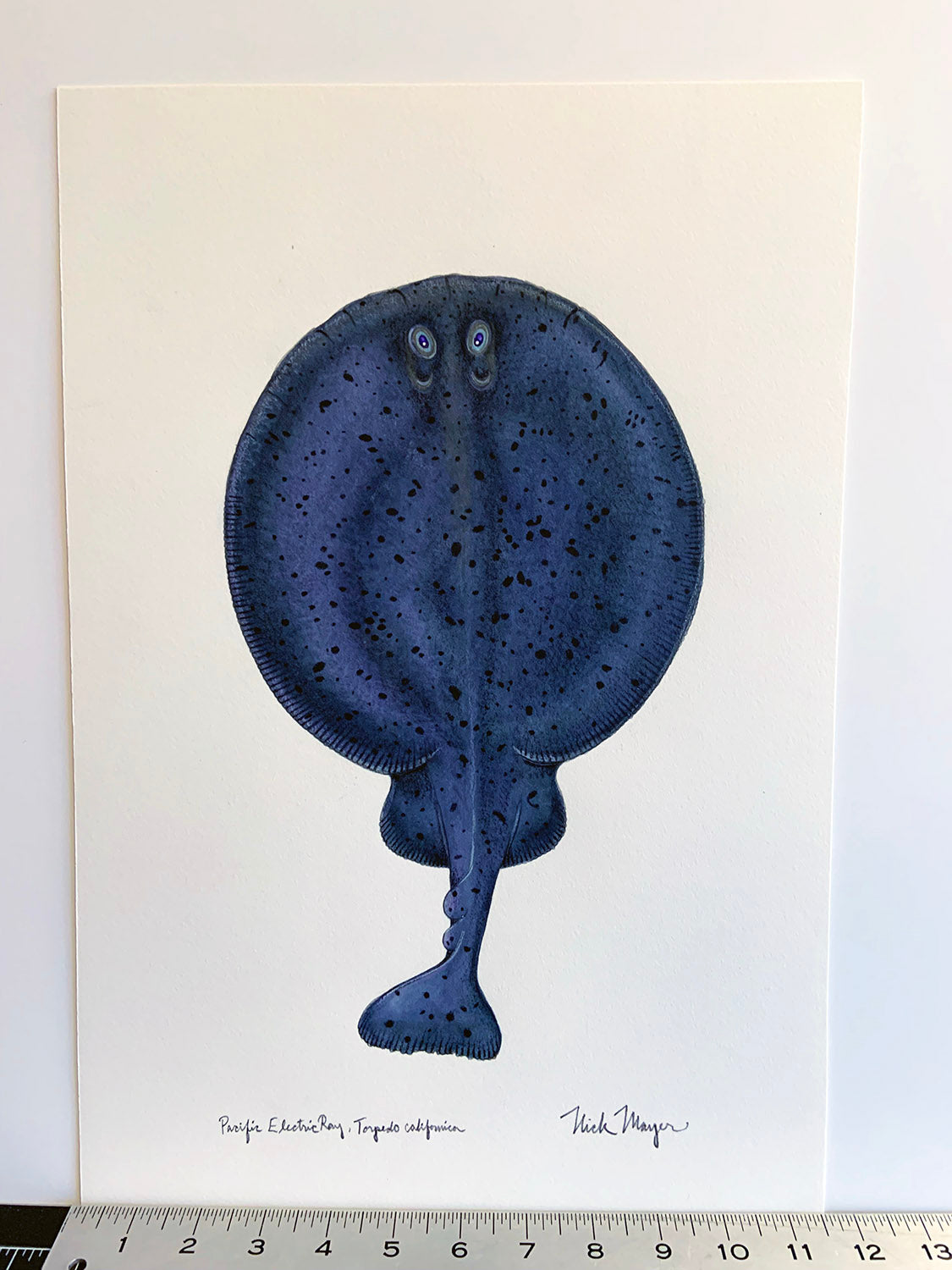 Electric Ray Unframed Original Painting