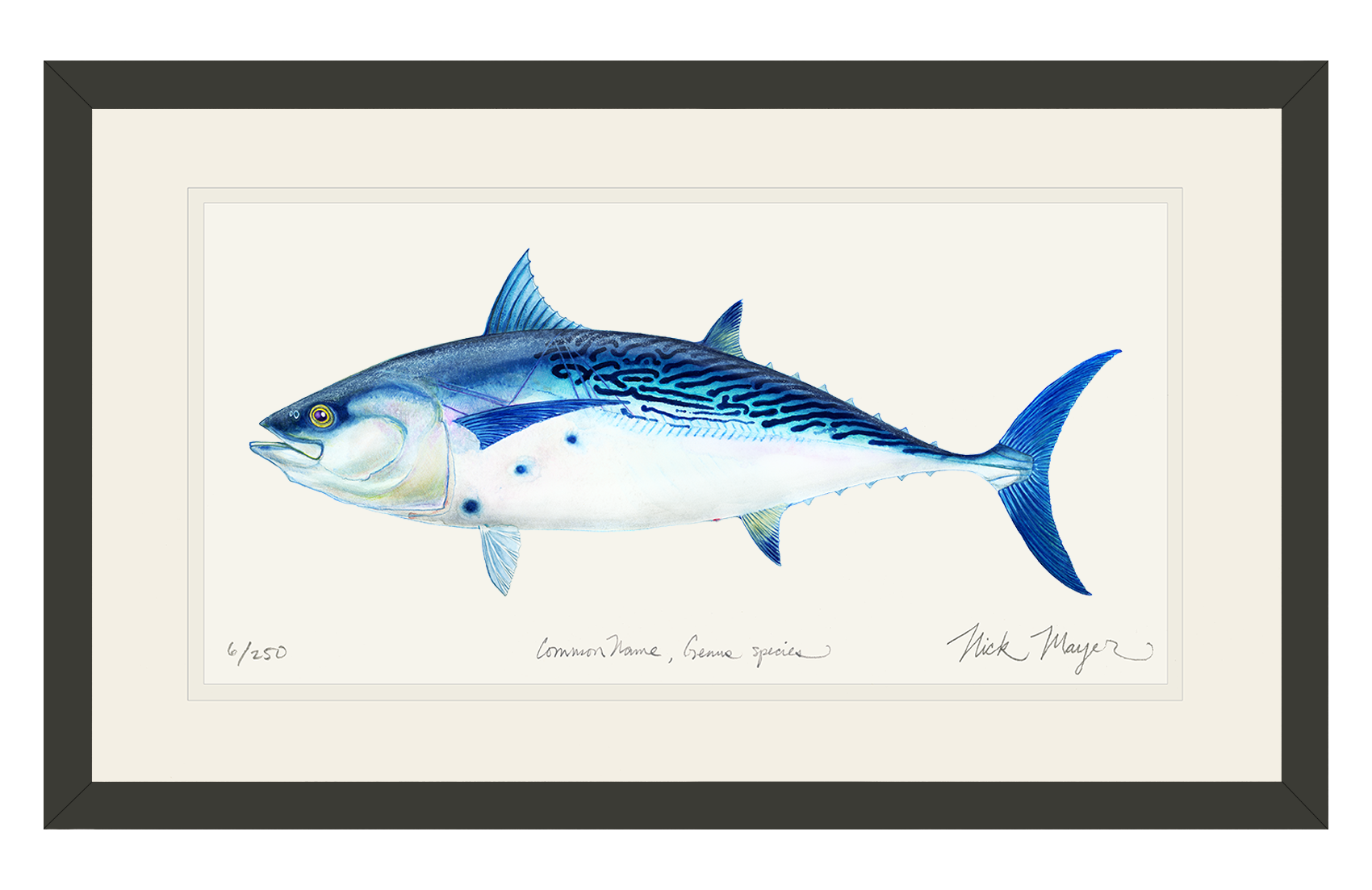 False Albacore II Limited Edition Print